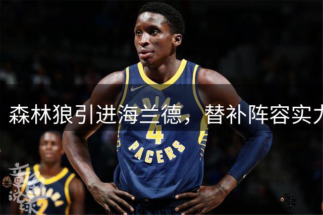 森林狼引进海兰德，替补阵容实力显著提升